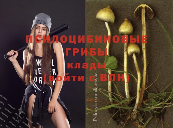 кокаин колумбия Магас