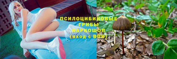 мдпв Бородино