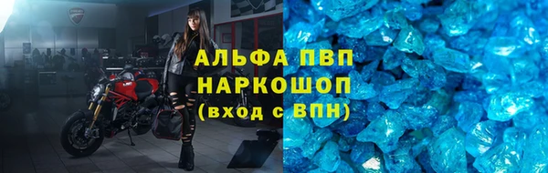 PSILOCYBIN Липки