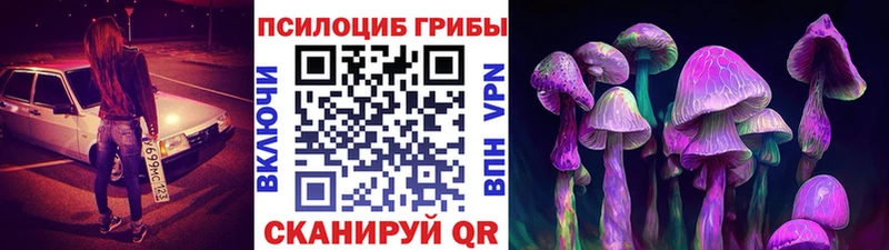 наркотики  MEGA   Галлюциногенные грибы мицелий  Верхоянск 